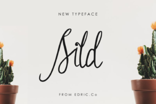 How Sild Elevates Your Brand’s Typography
