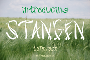 Stangen: A Font That Elevates Branding