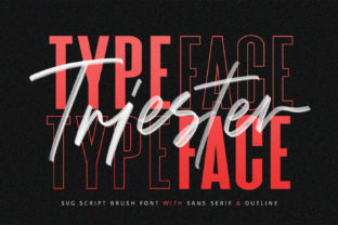 Triester: A Bold Brush Font for Creative Branding