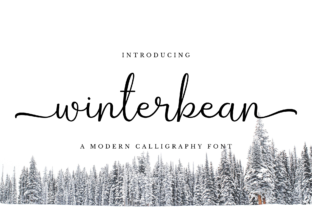 Winterbean: The Font That Elevates Your Brand